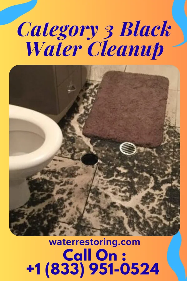 Category 3 Black Water Cleanup in California, MO