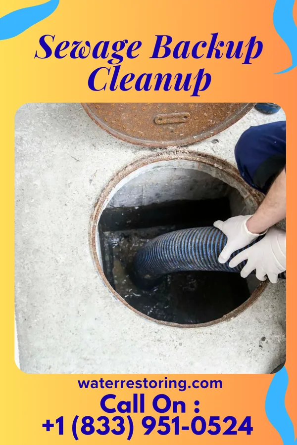 Sewage Backup Cleanup in California, MO