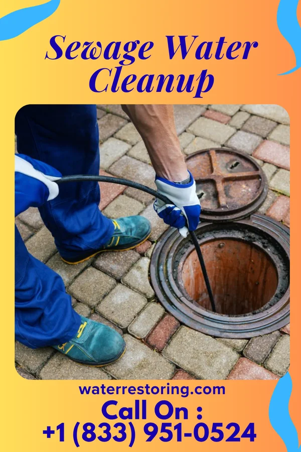 Sewage Water Cleanup in California, MO